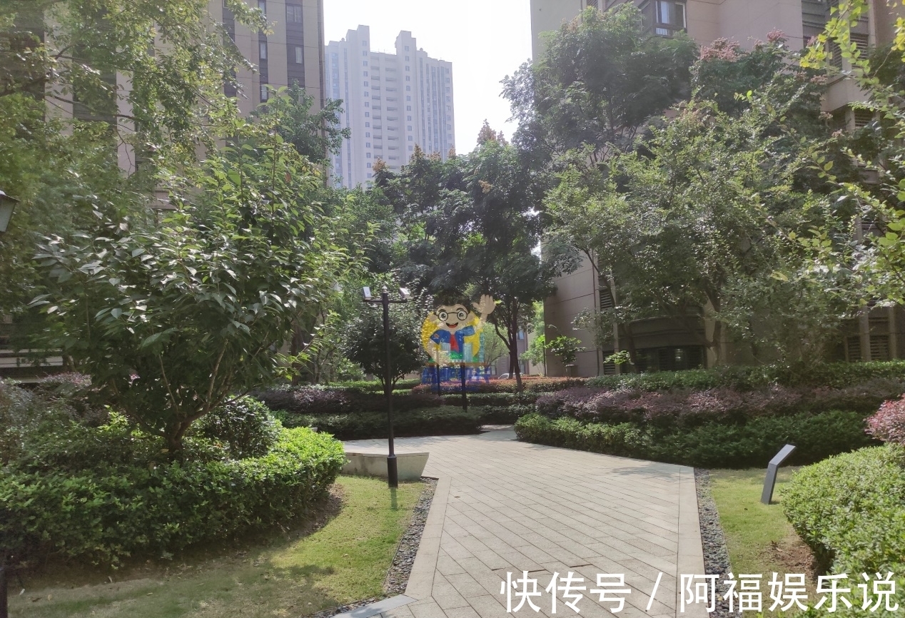 万科|这里是合肥北部出名的富人小区,实探万科森林公园品质究竟如何?