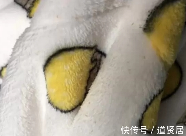 睡衣|女子贪小便宜，在网上买了件便宜睡衣，穿了几个月后，悲剧发生了