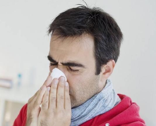 鹅不食草|鼻炎的“对手”终于找到了!坚持闻一闻,鼻炎或许悄悄好转!