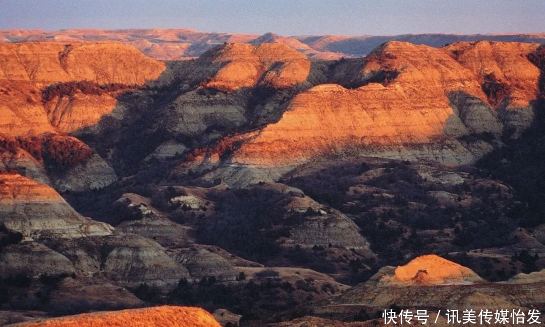 面孔|完美画报之旅野性的呼唤