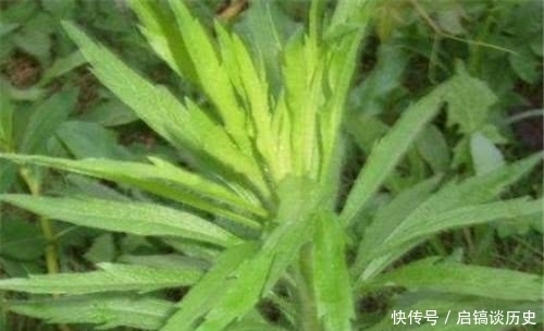 风靡|曾风靡全国的“宝塔糖”,为何后来销声匿迹了,历史上发生的事情不能忘