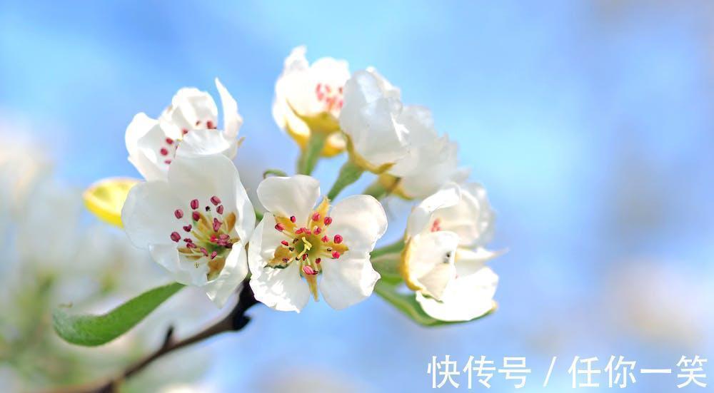 六十四卦#《易经》推天道明人事,中国哲学精华,卦名和卦序已见端倪