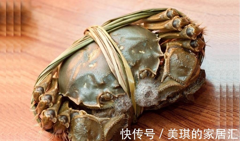 螃蟹|买螃蟹时,聪明的人专挑5种,个个肉鲜膏肥,再也不怕买亏了