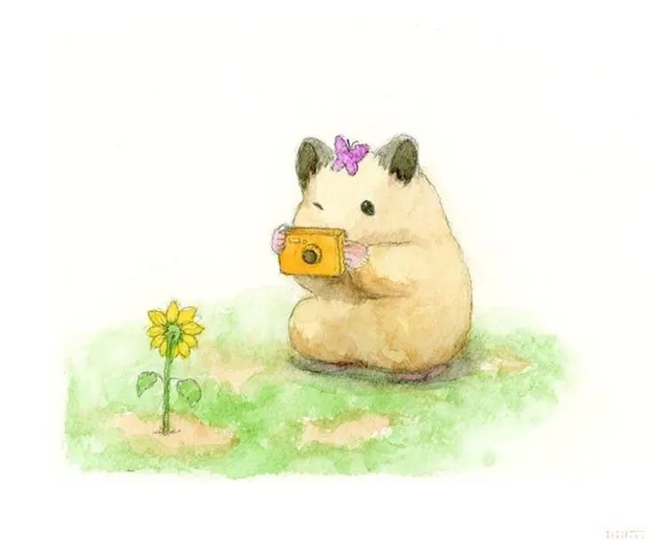 小仓鼠&他的插画主角是一只仓鼠,可爱的举动,萌到心都化了