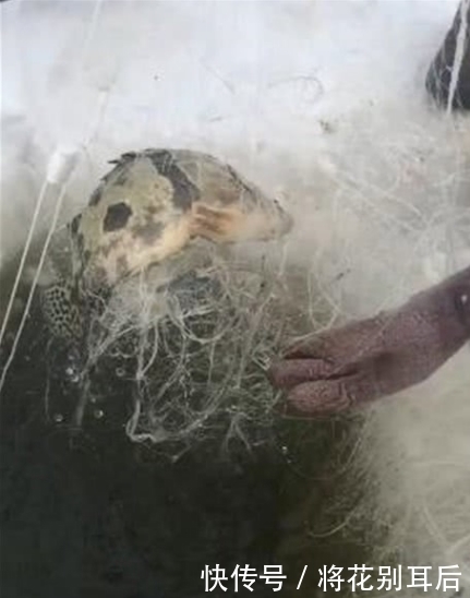 钓友|男子不听朋友劝阻,冰洞里撒网捕鱼,拉上来一看带“纹身”的