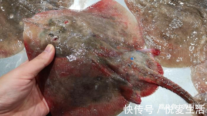厨娘|秋天吃鱼，聪明人专挑此5种鱼，纯野生无法养殖，老板都夸你行家