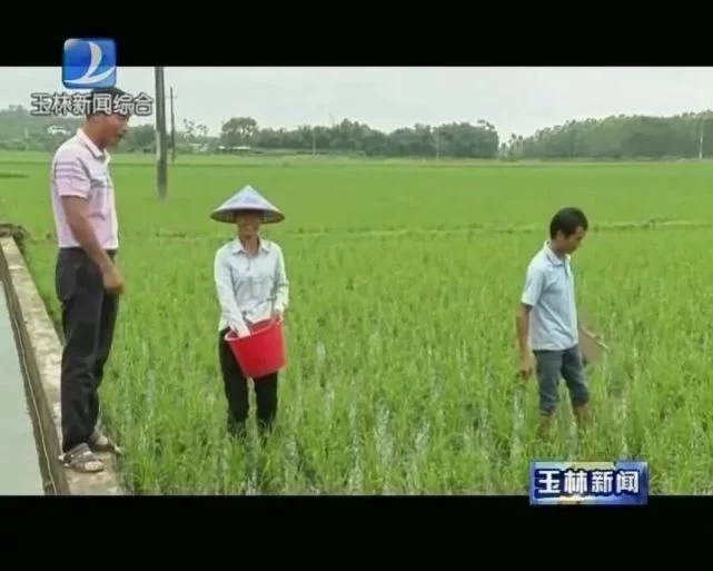 陆川县龙茂农牧有限公司成立于2019年，今年开始生产养殖。该公司的养殖基地位于陆川县滩面镇新旺村、覃村、佳塘村，养殖面积达到300多亩，主要的养殖品种有克氏原螯虾、田螺和鲫鱼，养殖形式为水稻田养殖；为帮助当地贫困群众脱贫致富，该公司共聘用了8户贫困户作为员工，解决了他们的就业问题。