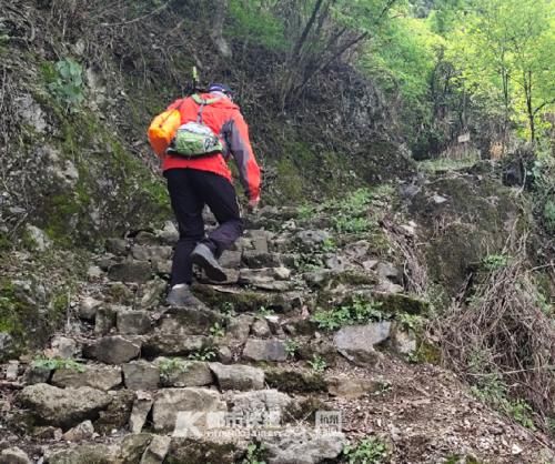 特意去乡下爬山 结果看到这样的登山道想掉头！山野小路该不该铺成这样？