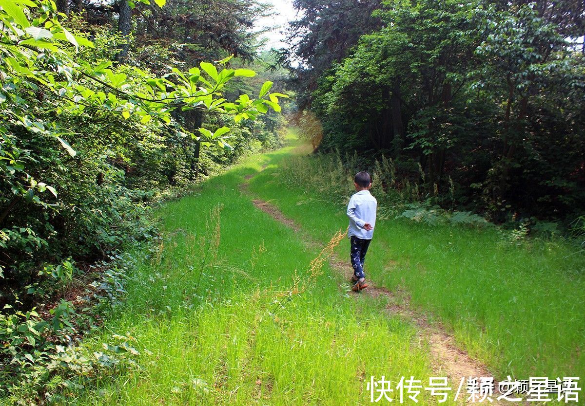 鹿亭乡|宁波赏雪胜地，东岗天池，林海雪原，天然滑雪场