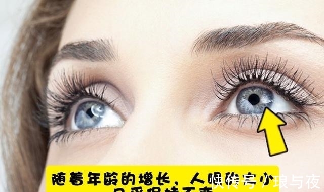 即便知识渊博的人也未必知道的7个冷知识