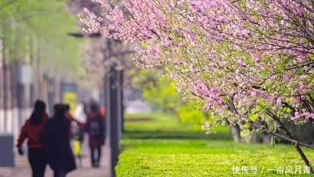  清明为什么要祭祖？这是我听过最好的答案