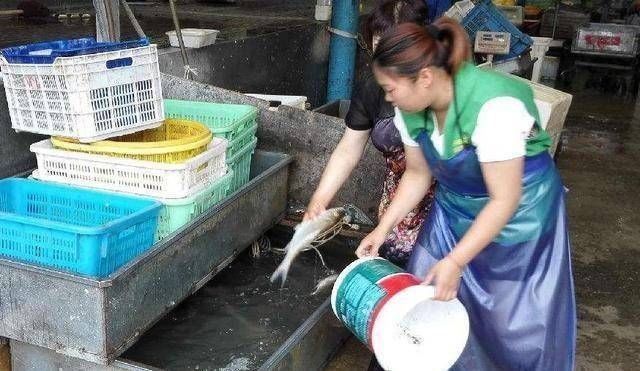 腌制|菜市场卖剩下的“死鱼”,都到哪儿去了鱼贩们的方式,让人佩服