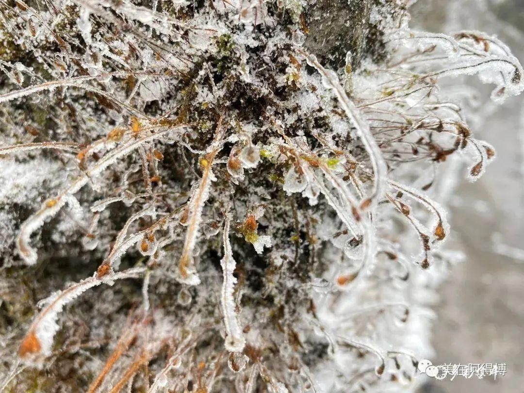 记忆 ｜寒潮再次来袭，还记得前几天的雪吗？