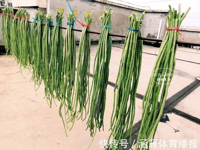 筱雅|晒豆角，第一步焯水就错了，教你1招，简单实用，口感香醇有嚼劲