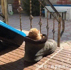 |「被窝段子20220131」生活嘛 慢慢来 所有的好运都在路上