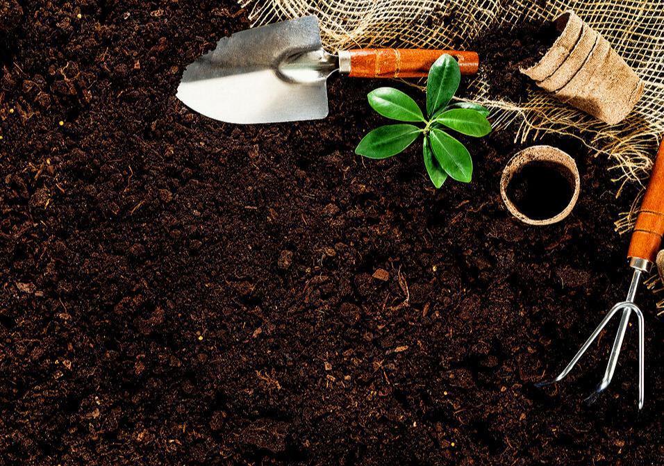 养花那些事,把握六要素,那就不是事