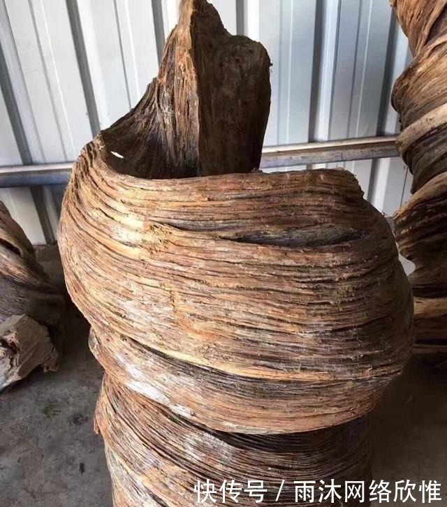 骨料|崖柏一料难求,坨坨料,包包料,骨料,一件中华龙成交价过千万