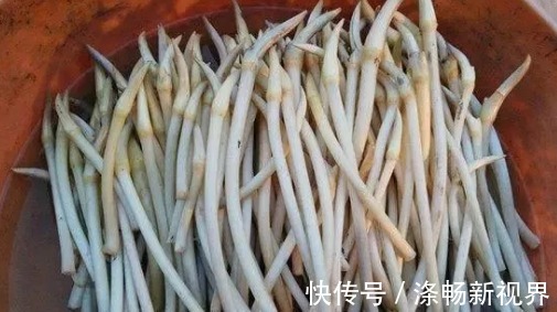 农村6种难得野味，好吃但是难找，全吃过的人不多，你吃过几种