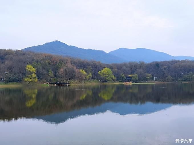 牛年、畅游紫金山牛~