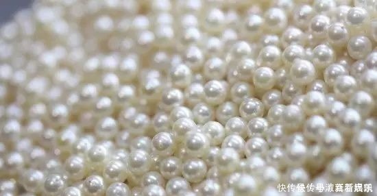 珍珠|亲临MIKIMOTO珠宝基地,揭秘顶级珍珠诞生的背后真相