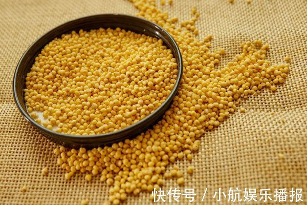 调理|脾胃虚弱的人,平时常吃五物,养脾补胃,让脾胃慢慢“强壮”