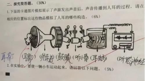 学生试题写耳廓被判错，答案竟是耳郭，是课本写错了，还是记错了