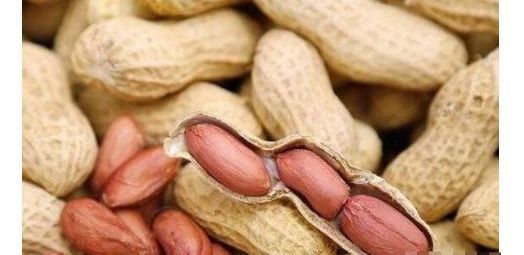 油脂|花生被称为“长生果”,常吃身体好,但有5类人尽量少吃