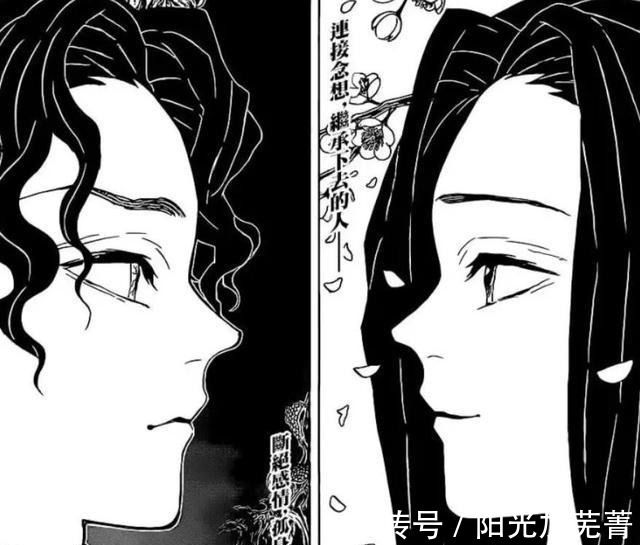 彼岸花|鬼灭之刃,核心角色缺席最终大战,祢豆子创作的意义究竟为何