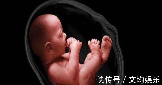 一个月|怀胎十月的最后一个月,肚子里宝宝在干吗其实他在“打包行李”