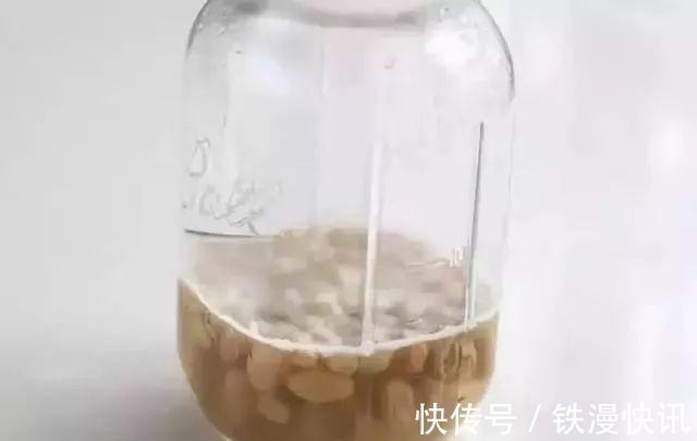 面食|你还在买酵母吗？教你这样做，自制天然酵母，简单方便