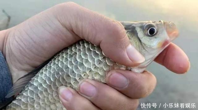 水口处|钓点处“冒泡”,就是不见有鱼吃钩?按我说的做,每次扬竿都有鱼