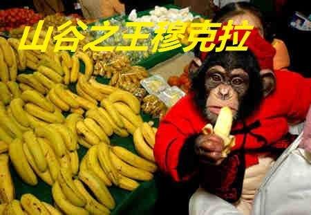 对决|炉石传说：对决模式全面开放，上古之神回来啦！还不加入对决？