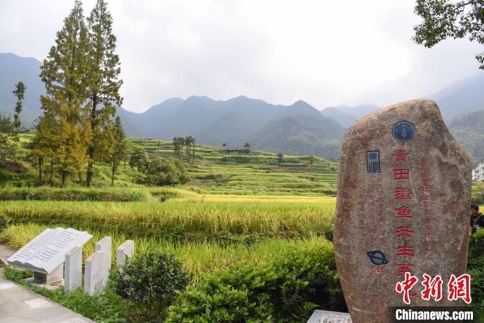 农家乐|藏在大山里的小山村：家家有华侨 户户有侨眷