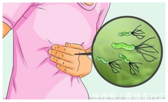 幽门螺杆菌|胃不好的人,白开水里加1物,幽门螺杆菌不来扰,口臭或许也好了