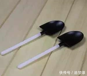 塑料瓶|家里的小东西都能用来养花,看看家里啥没扔