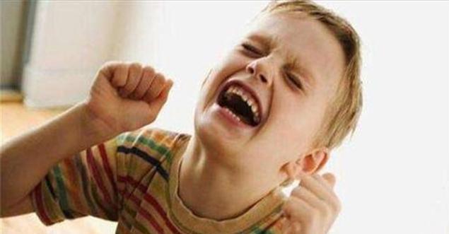 刘女士|白岩松:情商比智商更为重要,常对孩子说这4句话,娃情商不会低