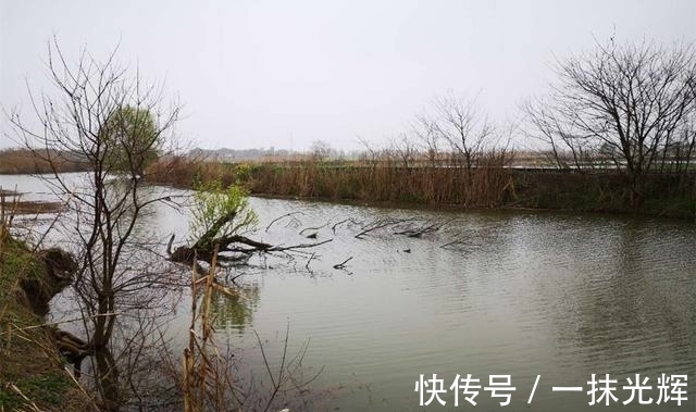 暗草|冬季钓鱼，找准鱼窝的3个步骤，在鱼群里下竿，大鲫一钓一个准