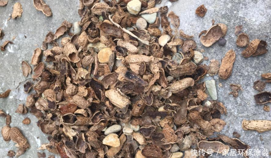 对于养花的人来说,家里这些“垃圾”扔掉就是浪费,养花好用的很