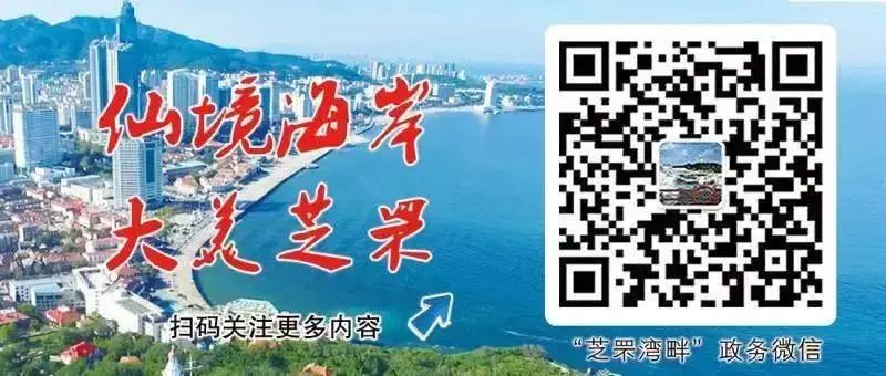 区文|高端“会诊”！打造芝罘滨海黄金旅游带！