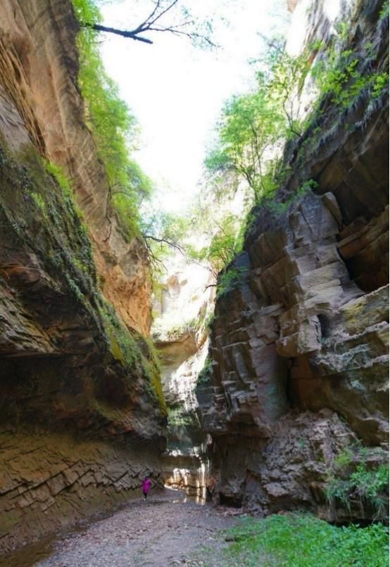 伤疤|闻名世界的大峡谷，两边是“田园风光”，中间却是“巨大伤疤”