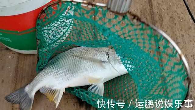 禁忌|钓鱼人如果有罪，我一定是罪不可赦，犯了钓鱼人最大的禁忌