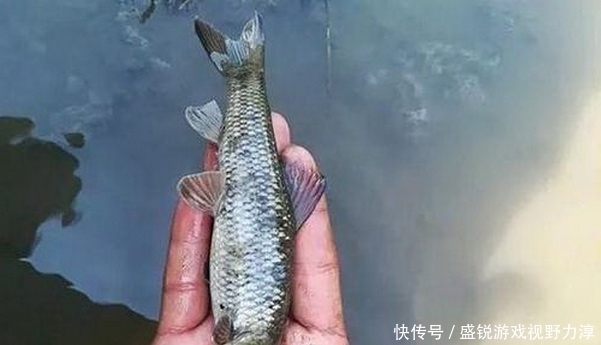 台钓的变化,对垂钓效果影响很大,钓友们应该详细了解