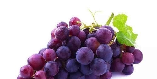 燕麦|女人35岁后,常吃6种食物,保持雌激素分泌平衡,预防子宫肌瘤