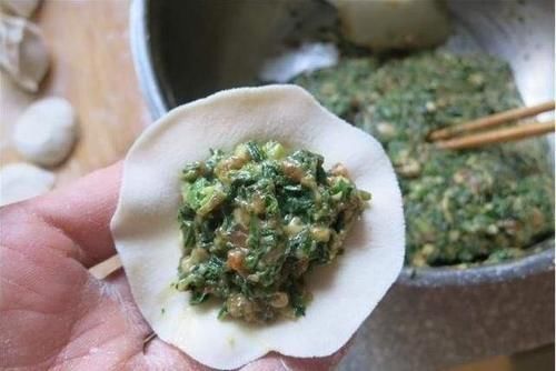 韭菜|调饺子馅有技巧,牢记“两放两不放”,饺子鲜嫩又好吃