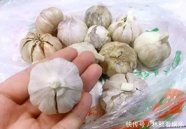 为什么买回家的大蒜容易发芽，而超市里的不会发芽看完就懂了