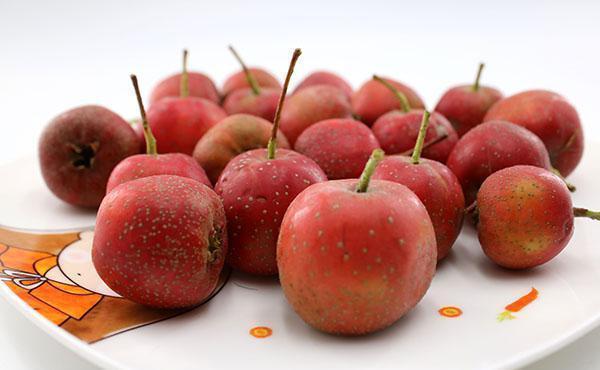 山药|黄芪搭配什么喝不上火?4种药材换着搭,补气健脾,气血更通畅