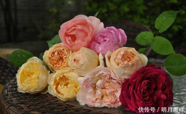 100㎡屋顶打造“花园露台”,网友直呼太壮观了,仿似人间仙境