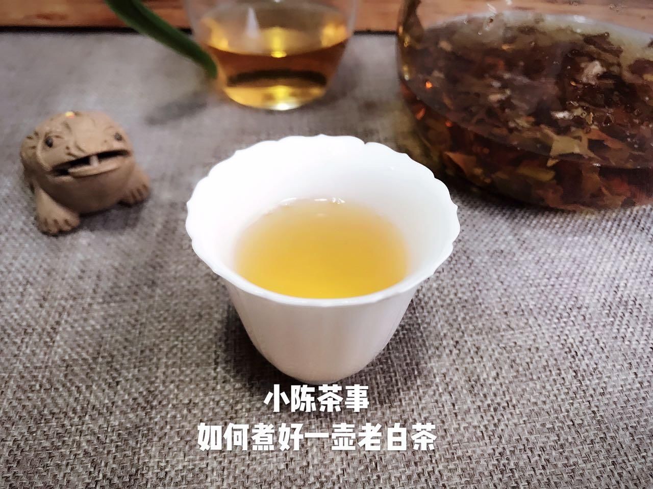 陶壶|煮茶工具不会挑？养生壶、玻璃壶、粗陶壶，哪个是煮茶的一把好手