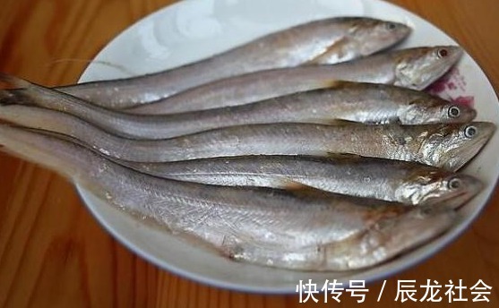 灭绝|这鱼以前泛滥成灾,如今却被人们吃到灭绝,一斤就要卖上万元!