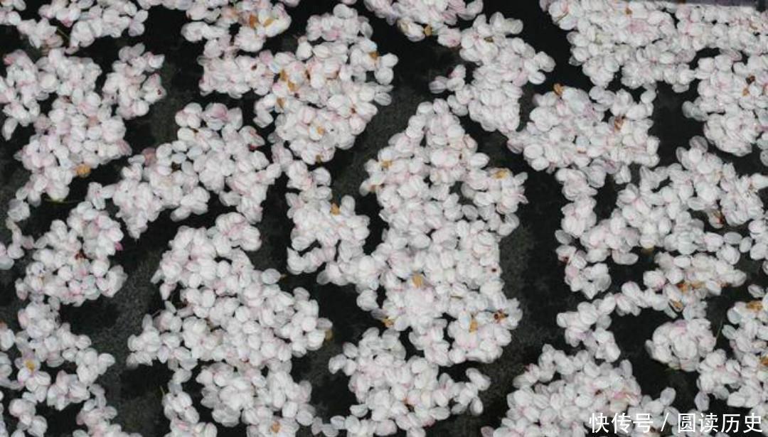 李商隐的诗常常引用典故,只有这首《落花》,全诗纯用白描的手法